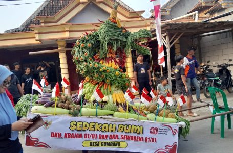 Dokumentasi Sedekah Bumi Desa Gombang